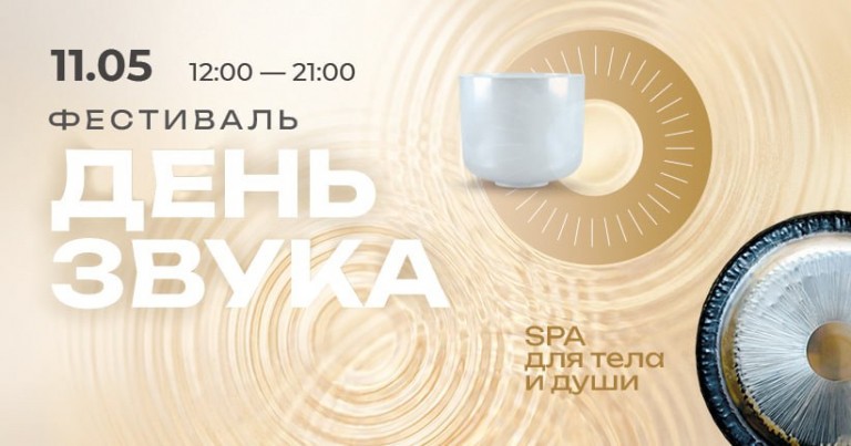 День звука